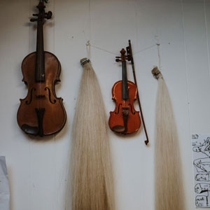 Shoulder Rests | Faversham Strings