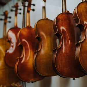 Special Offers | Faversham Strings