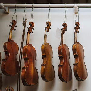 Violins | Faversham Strings
